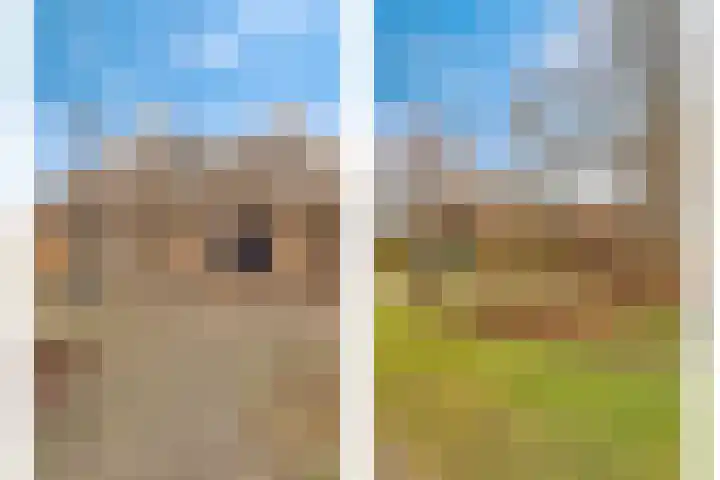 Oude Wythemerweg 8 Zwolle thumbnail 6