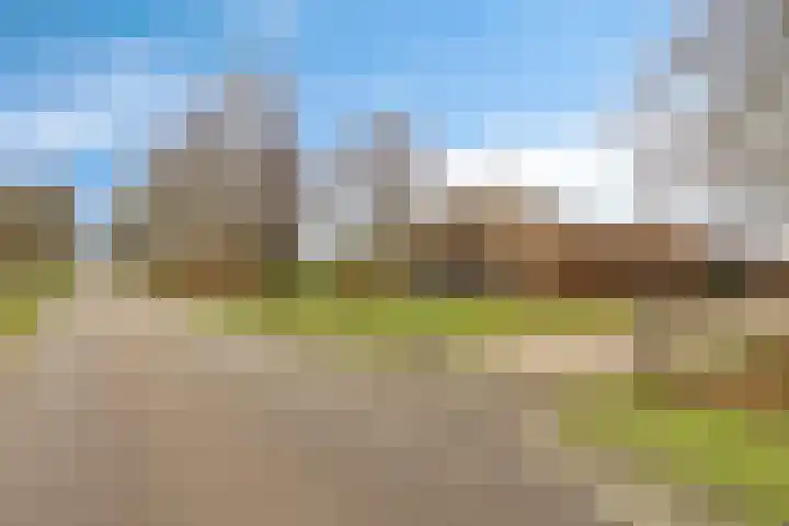Oude Wythemerweg 8 Zwolle thumbnail 61