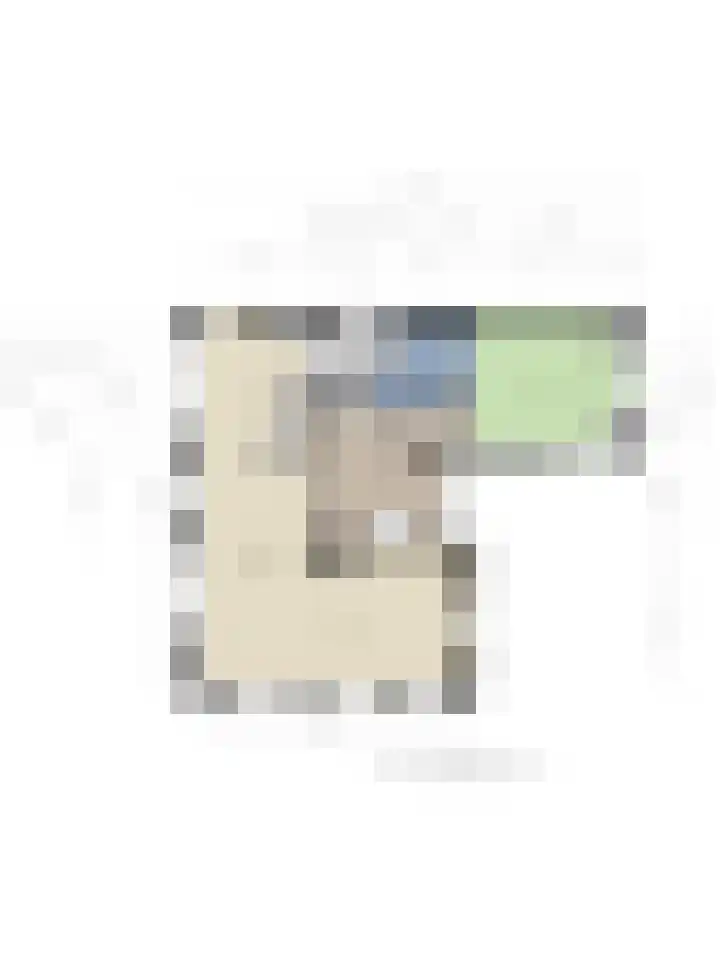 Oude Wythemerweg 8 Zwolle thumbnail 63