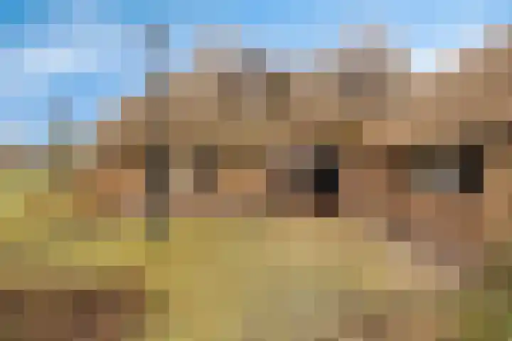 Oude Wythemerweg 8 Zwolle thumbnail 7