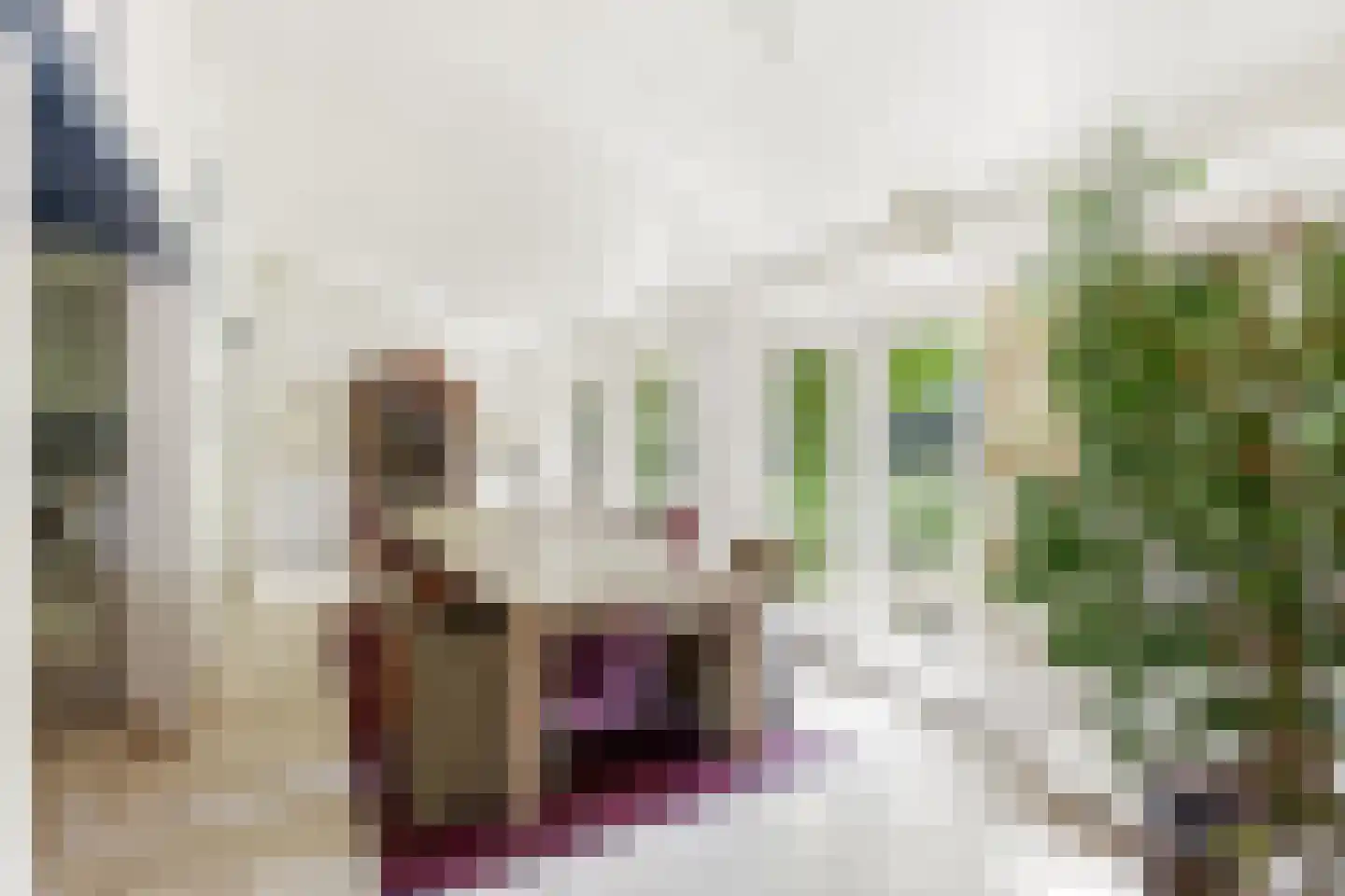Oude Zanddijk 5 Heinkenszand thumbnail 12