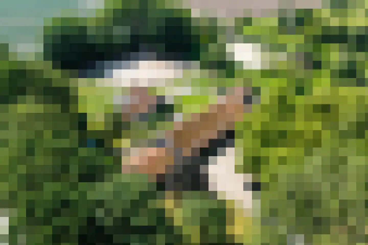 Oude Zanddijk 5 Heinkenszand thumbnail 14