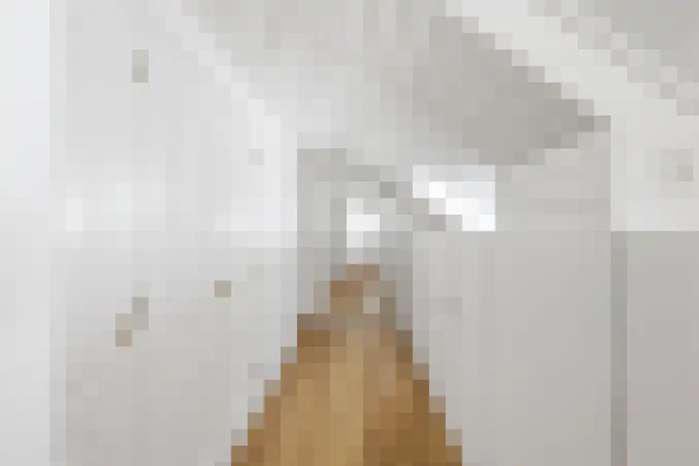 Oude Zanddijk 5 Heinkenszand thumbnail 21