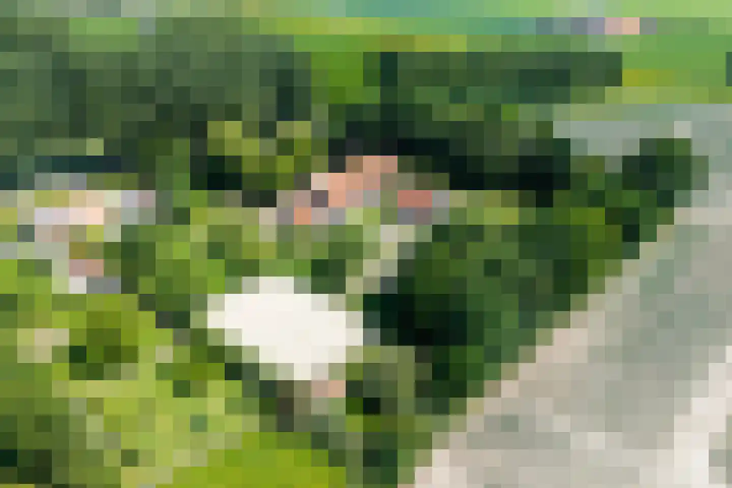 Oude Zanddijk 5 Heinkenszand thumbnail 28