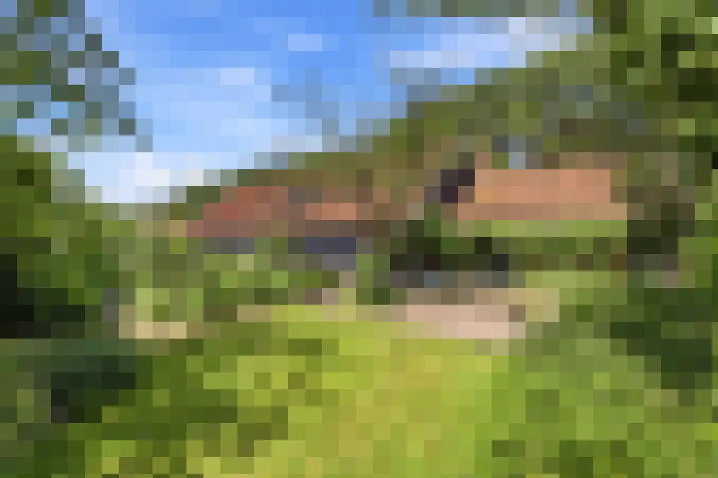 Oude Zanddijk 5 Heinkenszand thumbnail 38