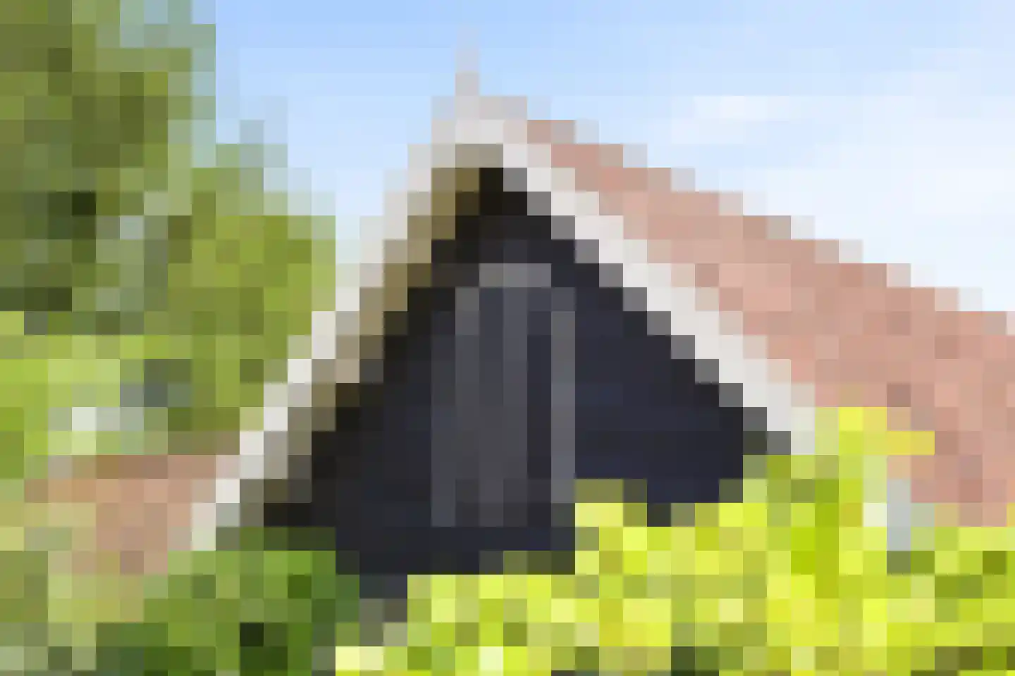 Oude Zanddijk 5 Heinkenszand thumbnail 39