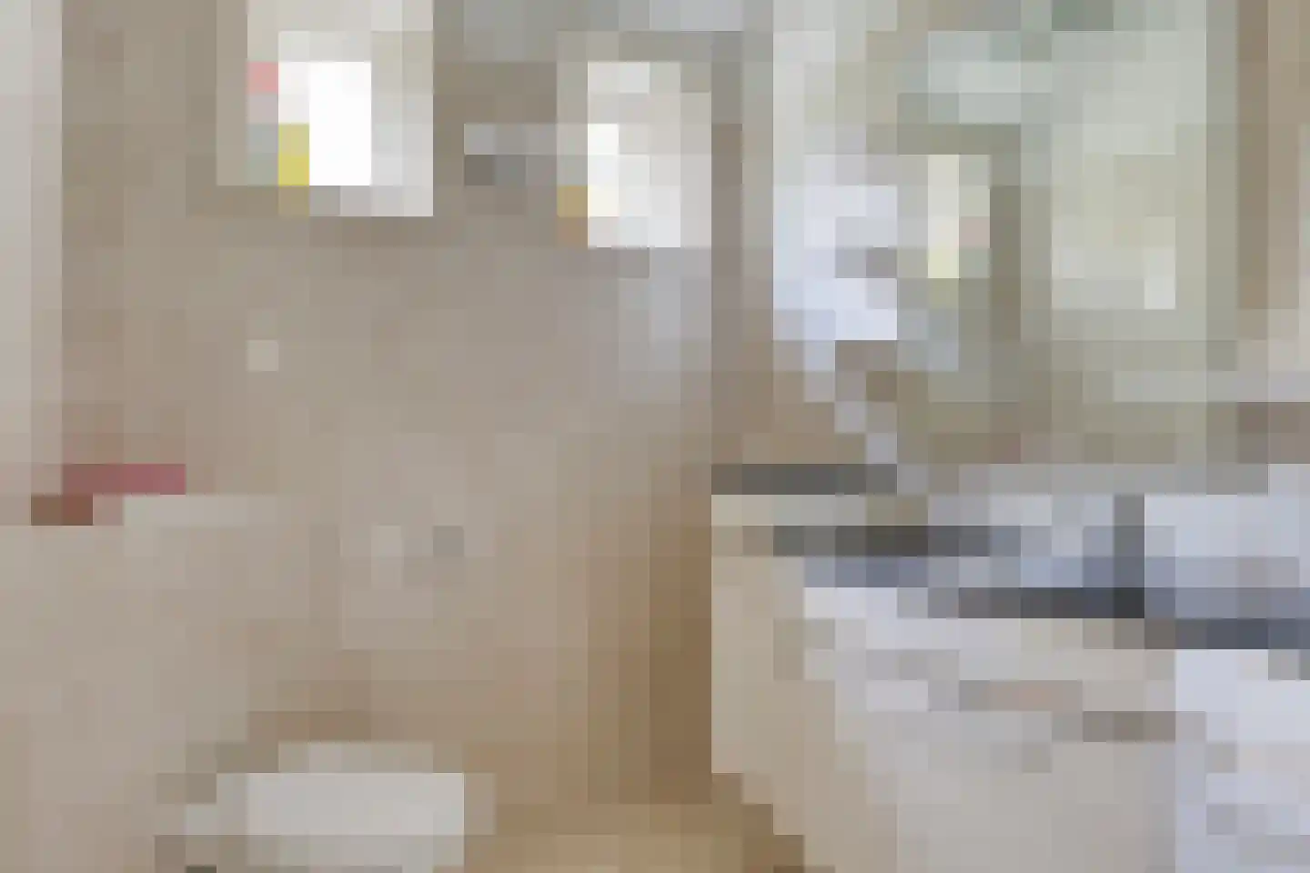 Oude Zandweg 11 Serooskerke thumbnail 21