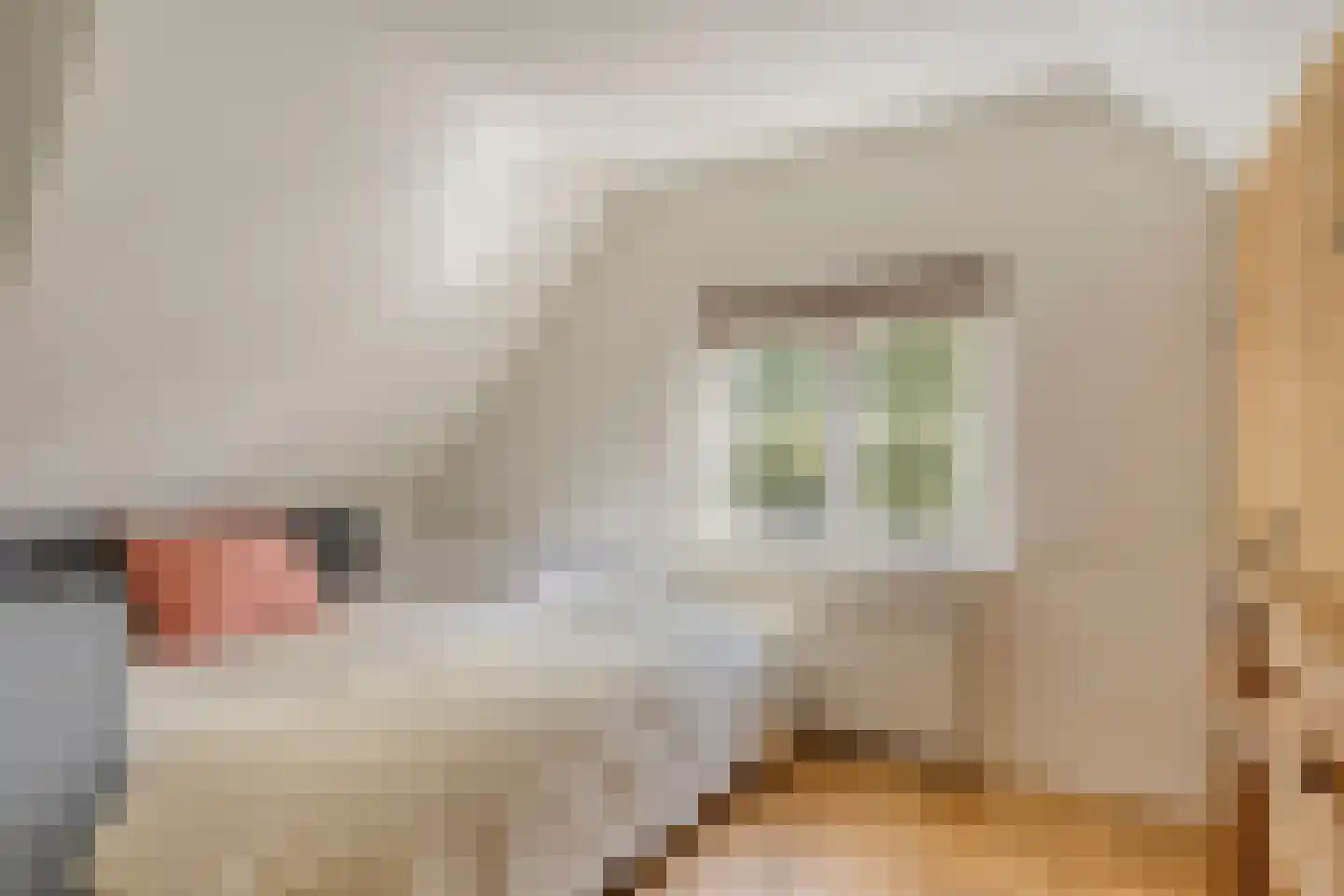 Oude Zandweg 11 Serooskerke thumbnail 31