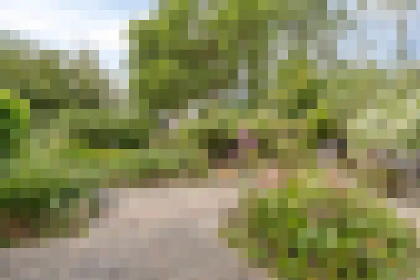 Oude Zandweg 11 Serooskerke thumbnail 33