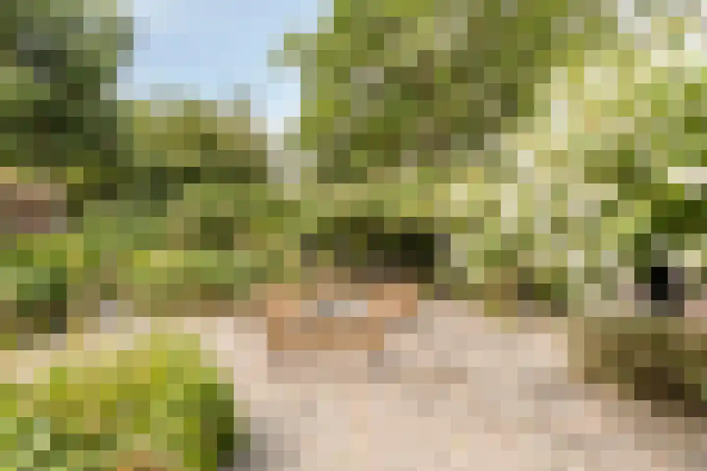 Oude Zandweg 11 Serooskerke thumbnail 34