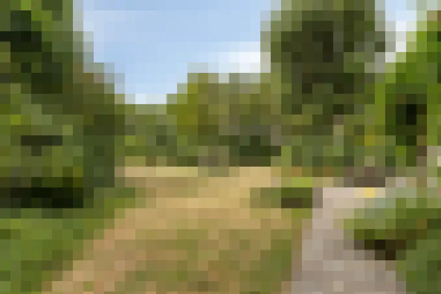 Oude Zandweg 11 Serooskerke thumbnail 38