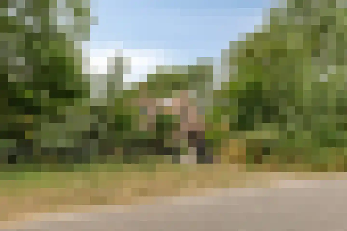 Oude Zandweg 11 Serooskerke thumbnail 4