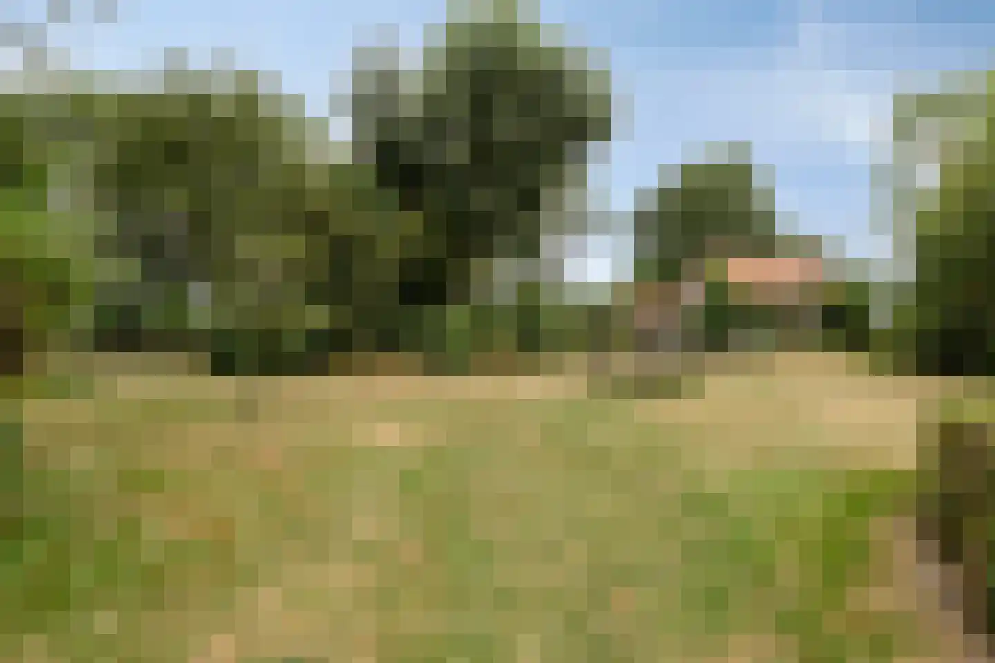 Oude Zandweg 11 Serooskerke thumbnail 41