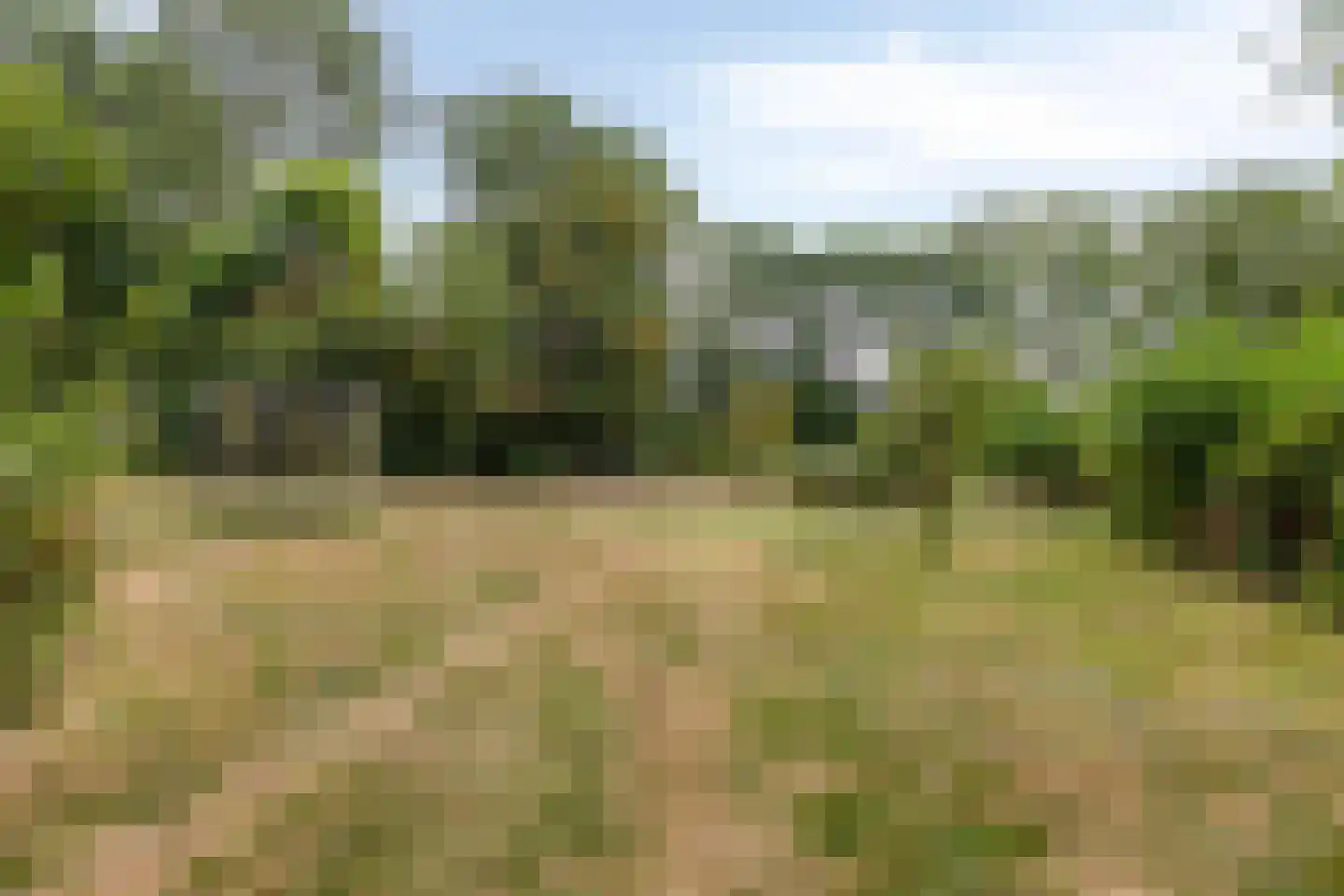 Oude Zandweg 11 Serooskerke thumbnail 42