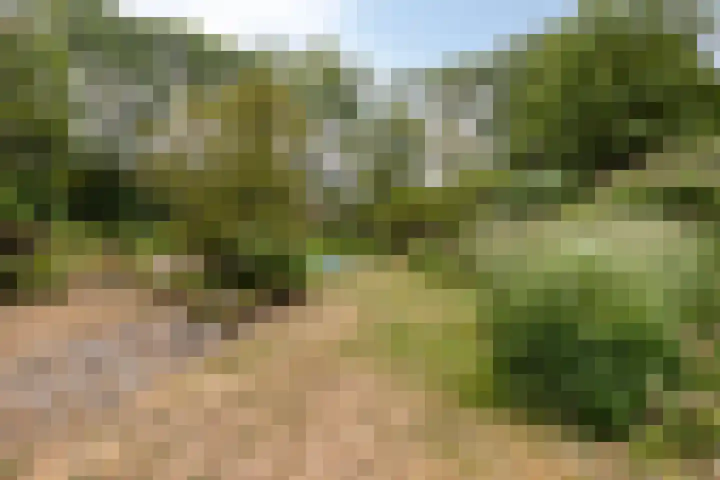 Oude Zandweg 11 Serooskerke thumbnail 43
