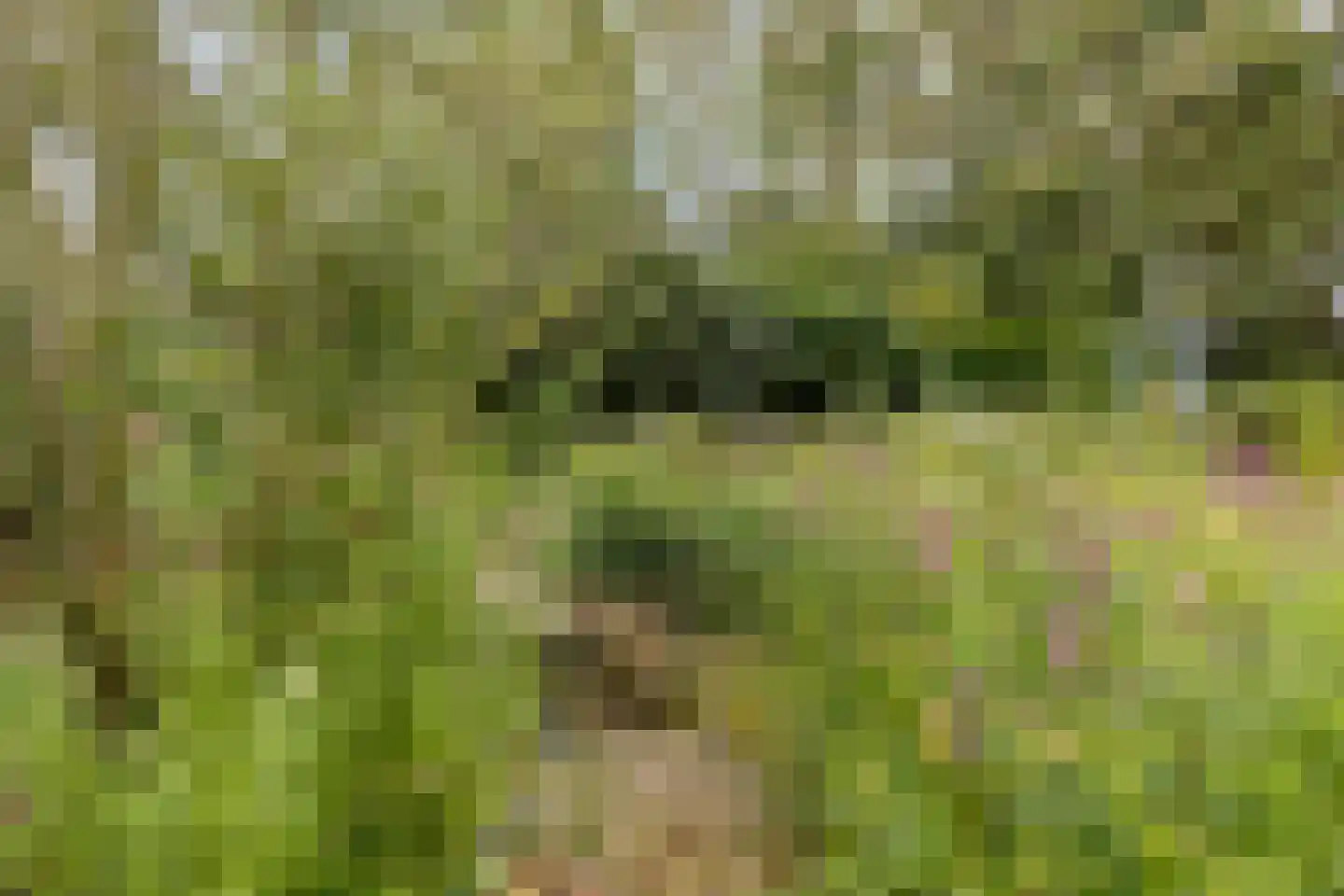 Oude Zandweg 11 Serooskerke thumbnail 48