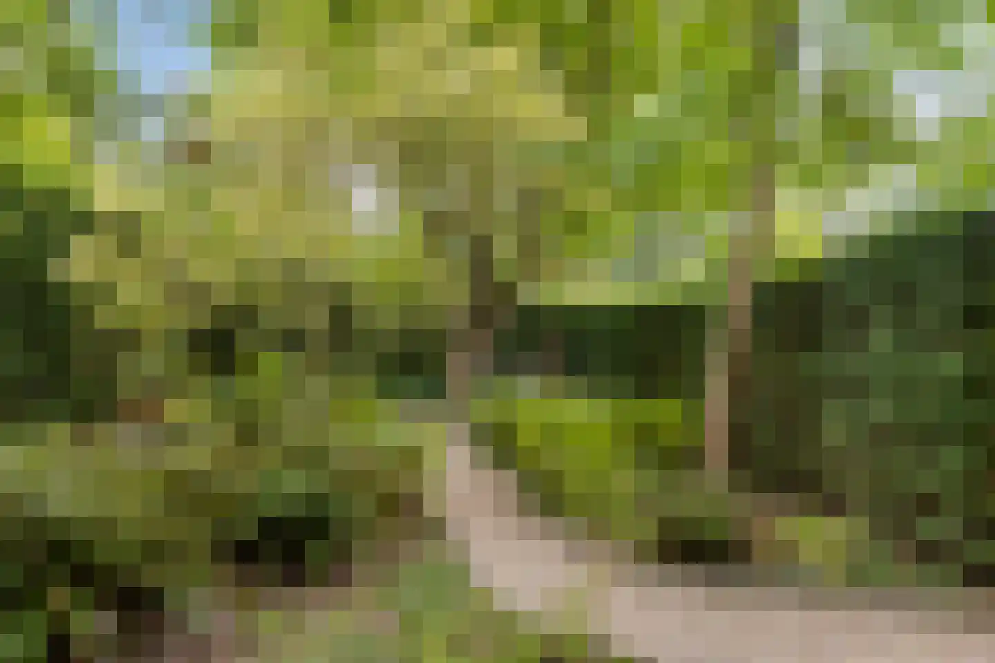 Oude Zandweg 11 Serooskerke thumbnail 50