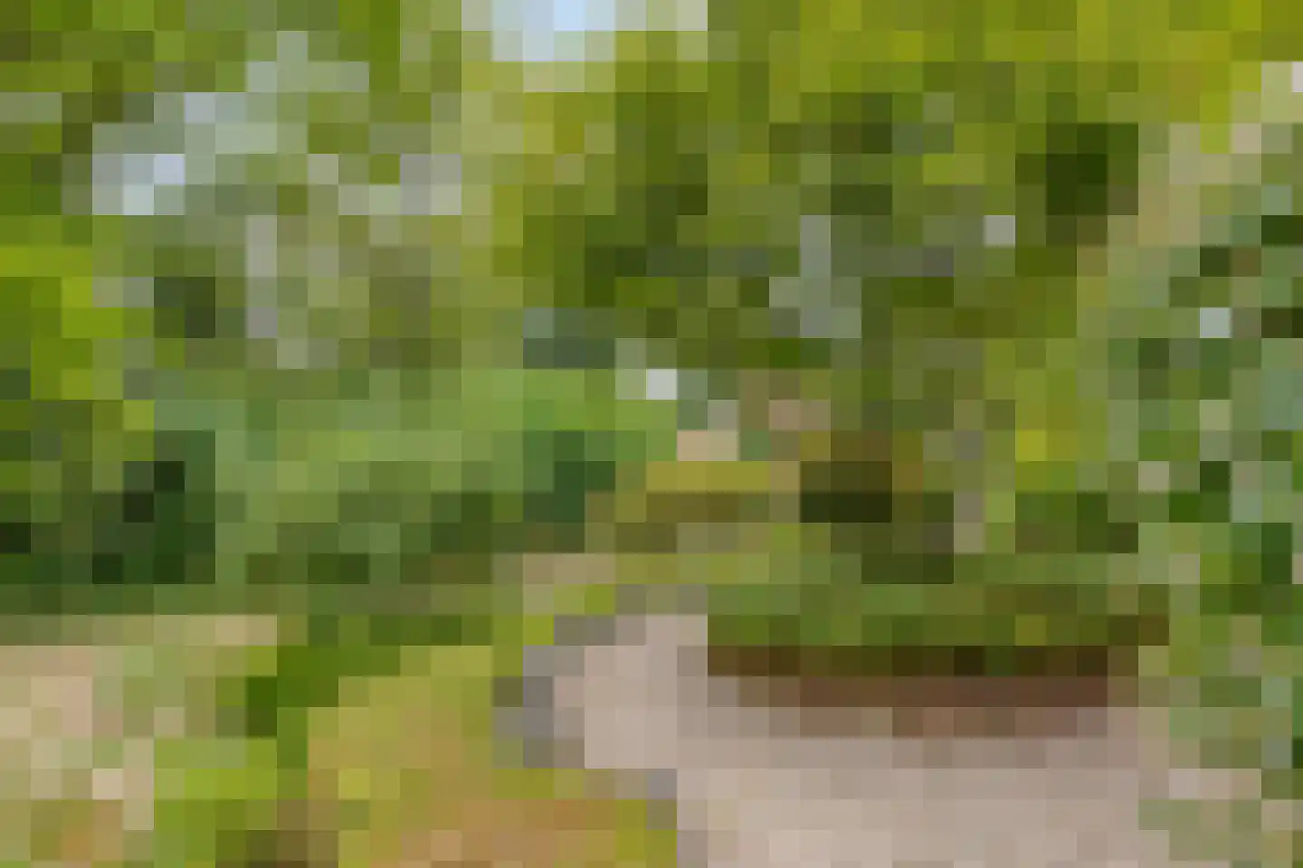 Oude Zandweg 11 Serooskerke thumbnail 51
