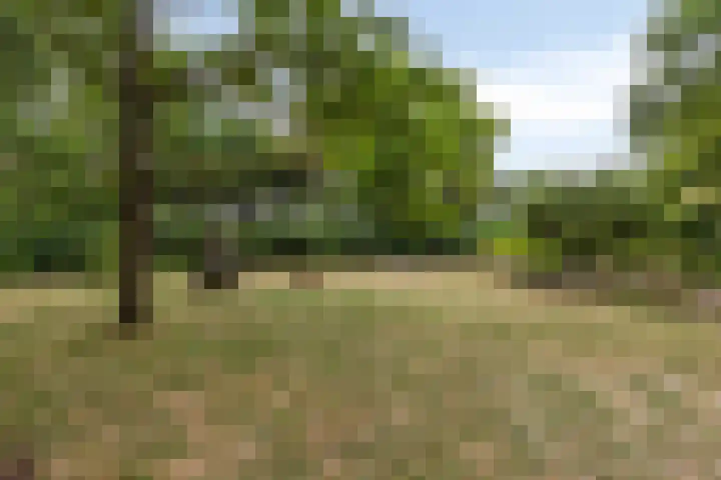 Oude Zandweg 11 Serooskerke thumbnail 52