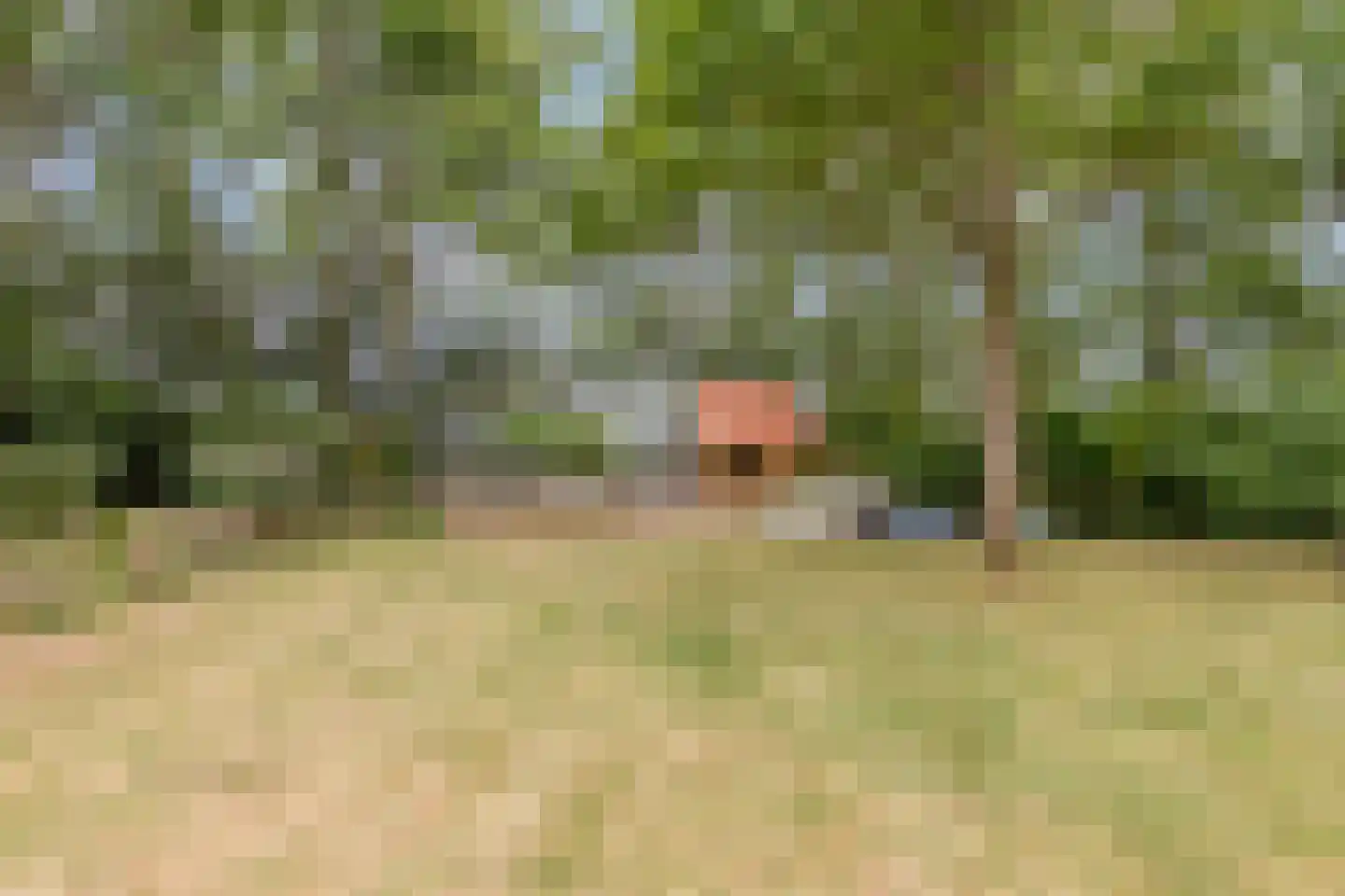 Oude Zandweg 11 Serooskerke thumbnail 53