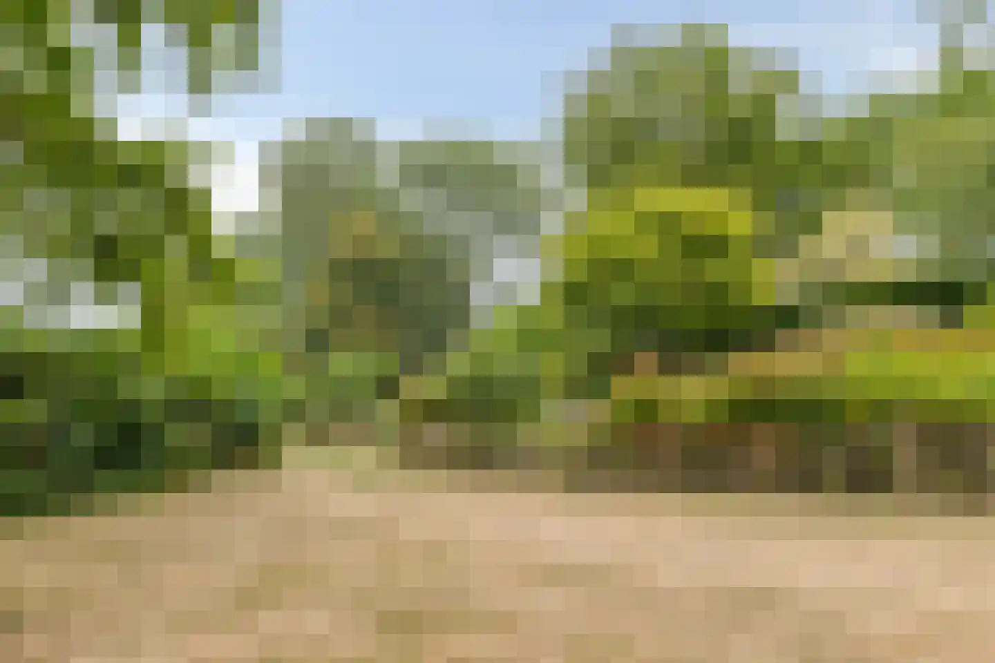 Oude Zandweg 11 Serooskerke thumbnail 55