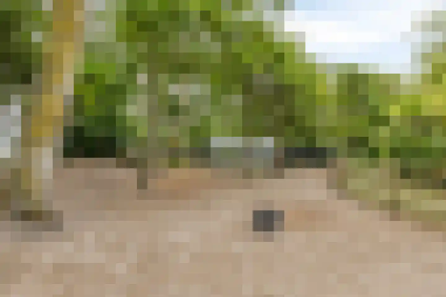 Oude Zandweg 11 Serooskerke thumbnail 60