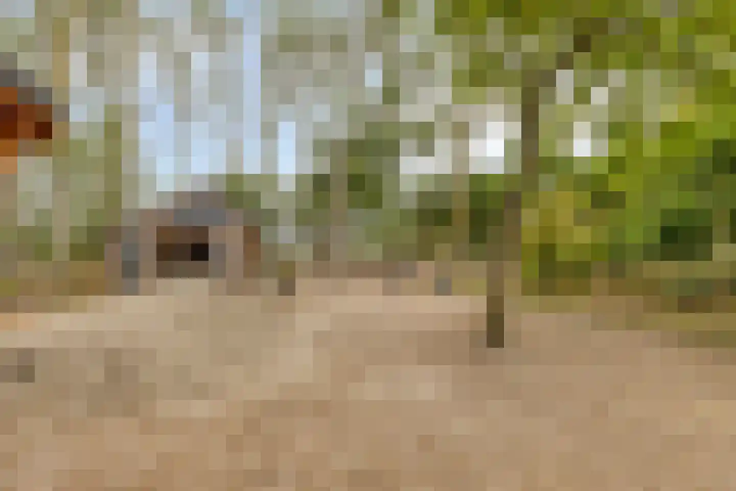 Oude Zandweg 11 Serooskerke thumbnail 61