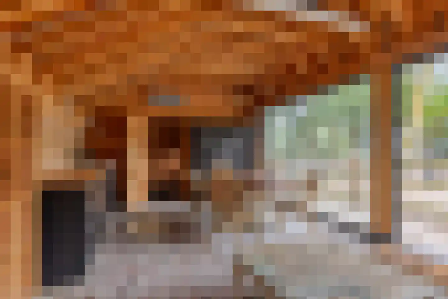 Oude Zandweg 11 Serooskerke thumbnail 62