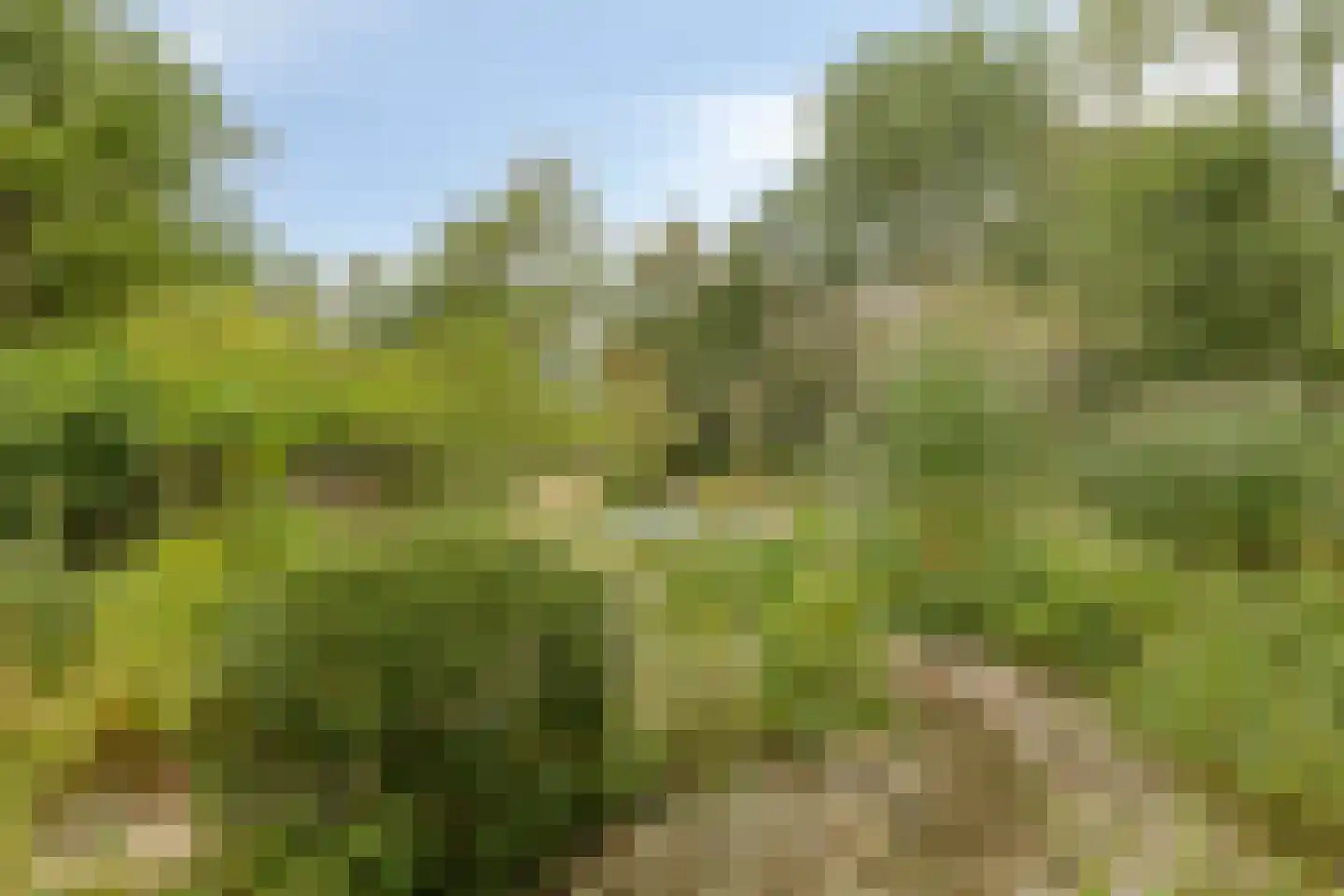 Oude Zandweg 11 Serooskerke thumbnail 64