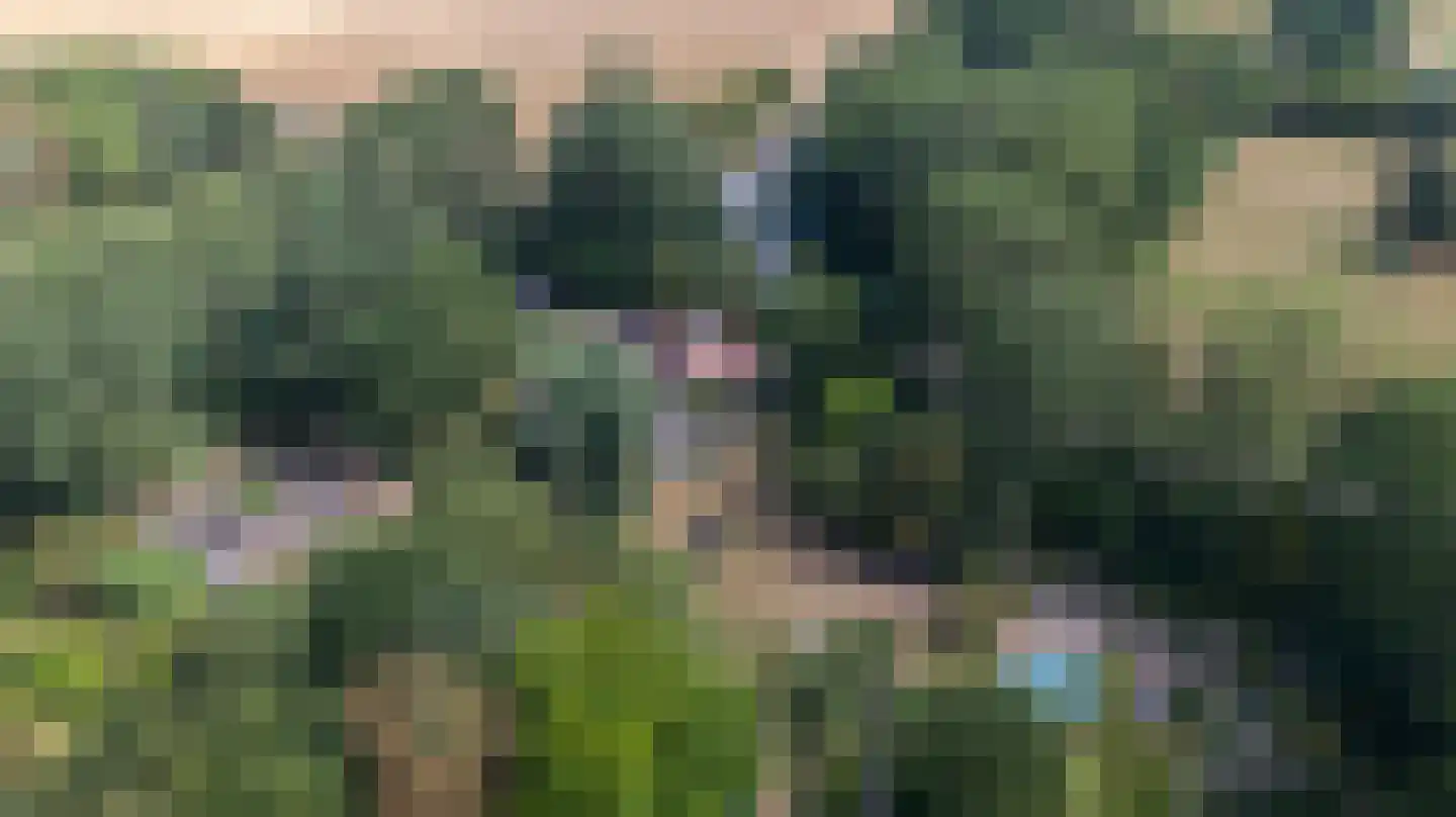 Oude Zandweg 11 Serooskerke thumbnail 65