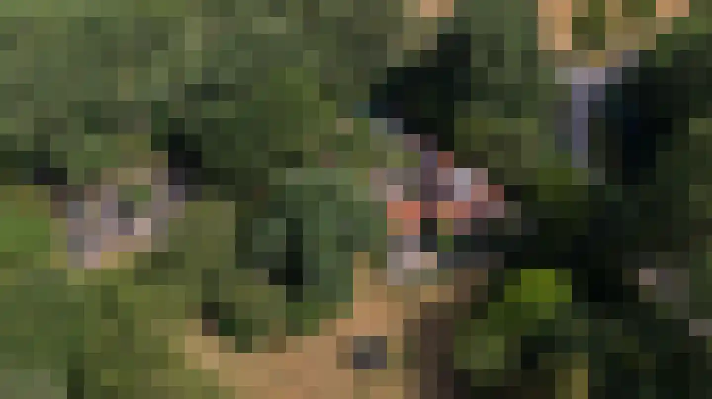 Oude Zandweg 11 Serooskerke thumbnail 67