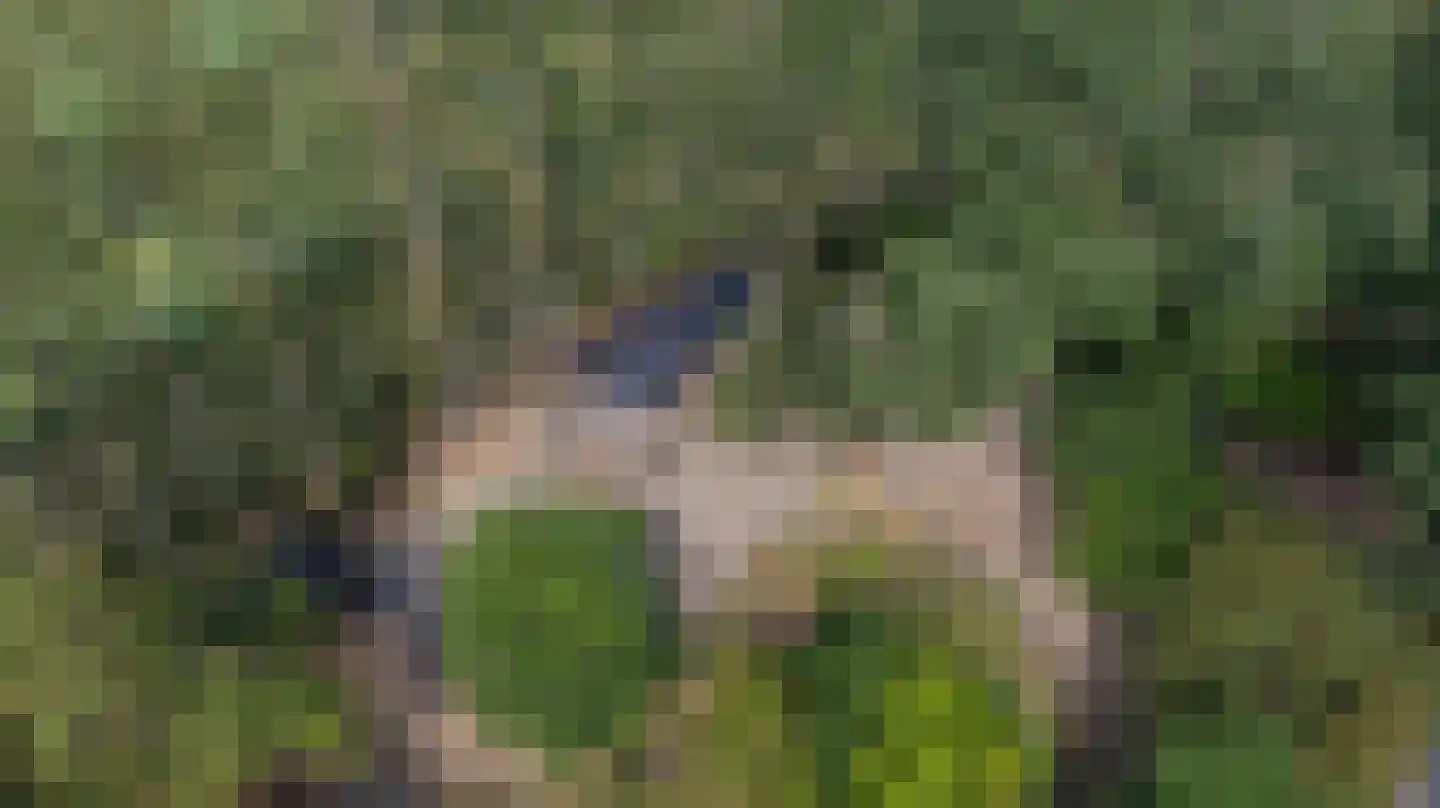 Oude Zandweg 11 Serooskerke thumbnail 68