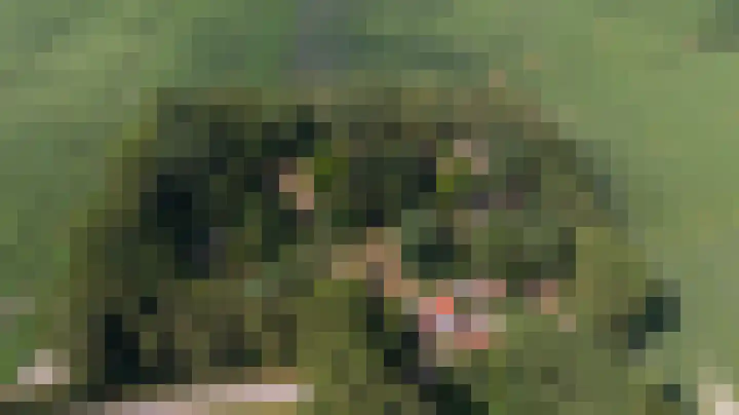 Oude Zandweg 11 Serooskerke thumbnail 73