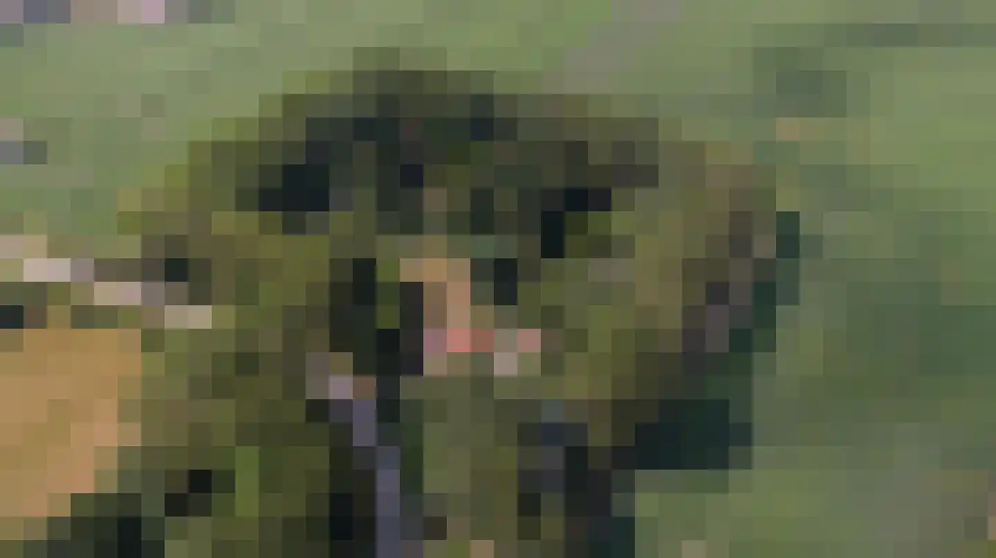Oude Zandweg 11 Serooskerke thumbnail 74