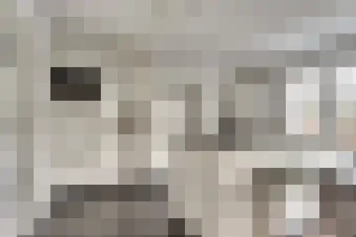 Oude Zeedijk 1 b Dussen thumbnail 10