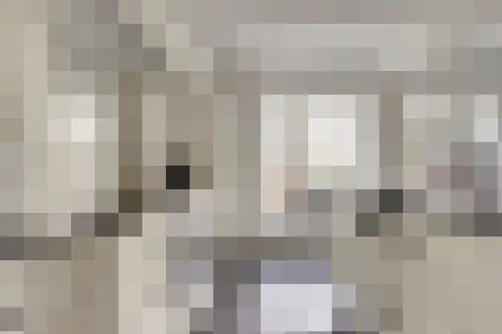 Oude Zeedijk 1 b Dussen thumbnail 11