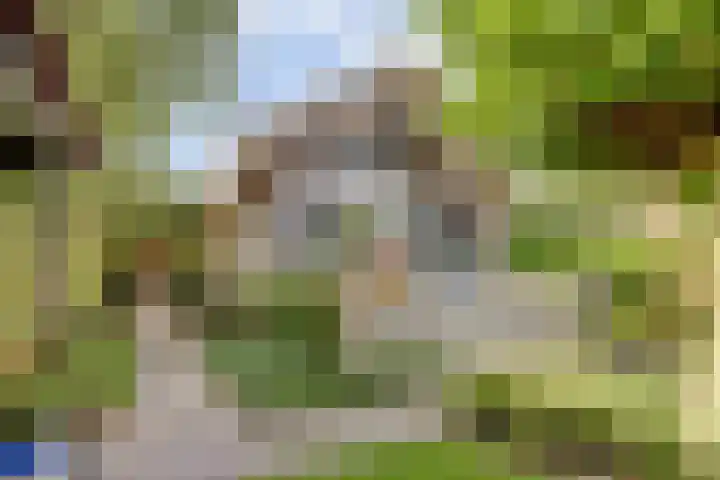 Oude Zeedijk 1 b Dussen thumbnail 13