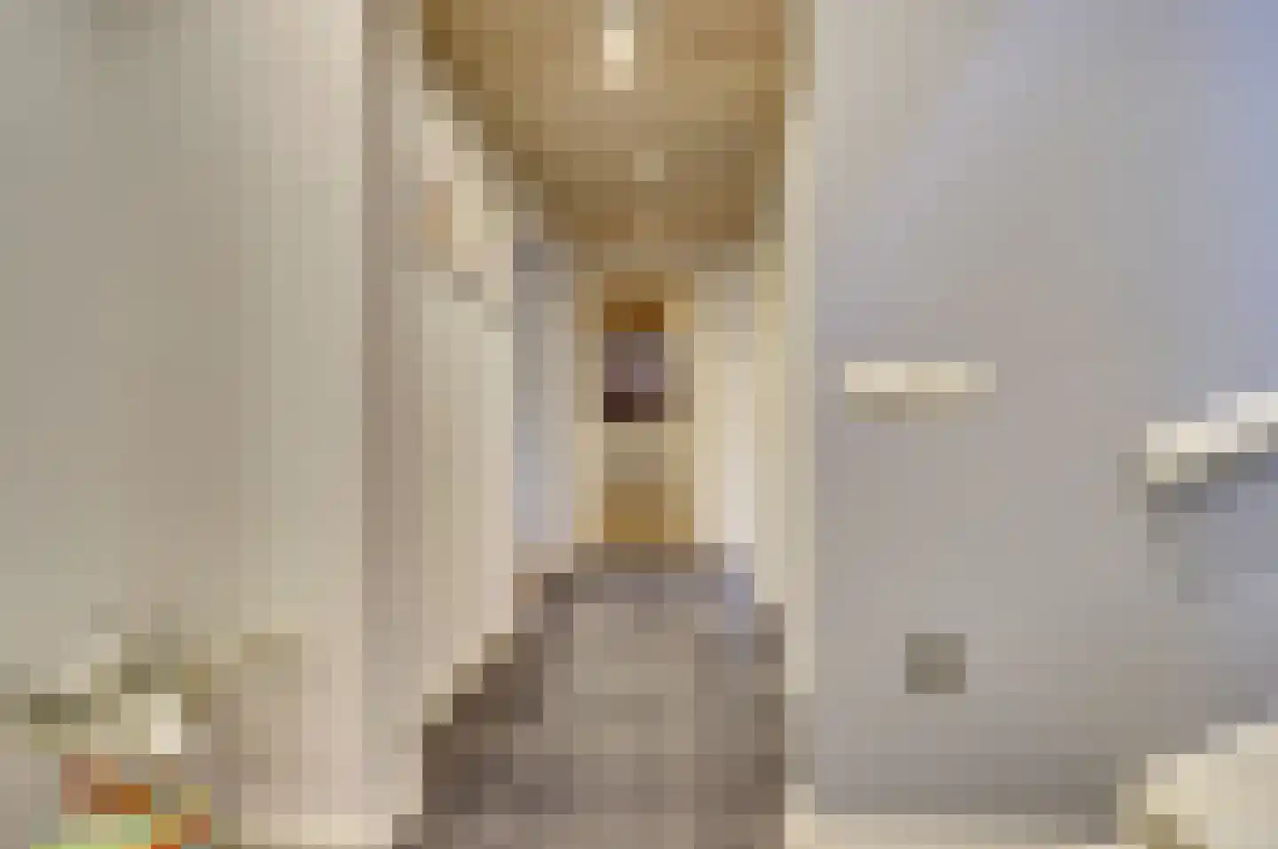 Oude Zeedijk 1 b Dussen thumbnail 15