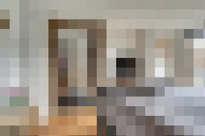 Oude Zeedijk 1 b Dussen thumbnail 16