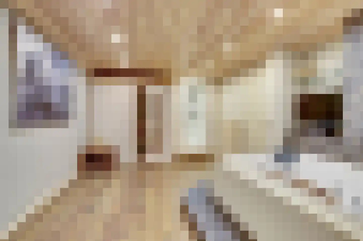 Oude Zeedijk 1 b Dussen thumbnail 21
