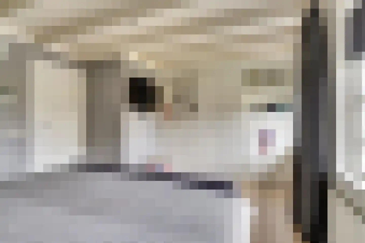Oude Zeedijk 1 b Dussen thumbnail 26