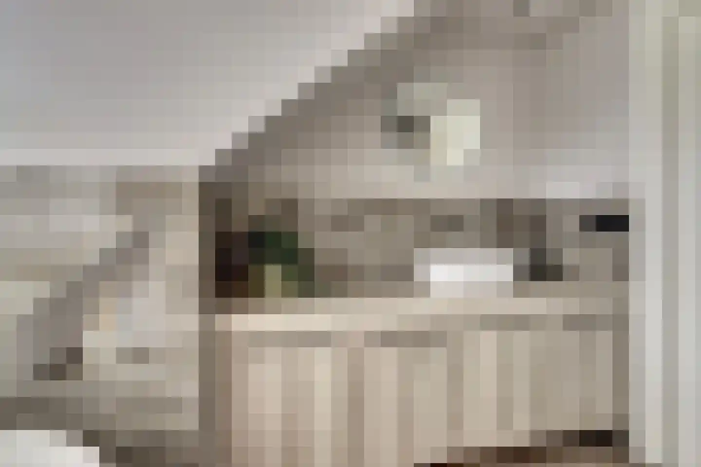 Oude Zeedijk 1 b Dussen thumbnail 29
