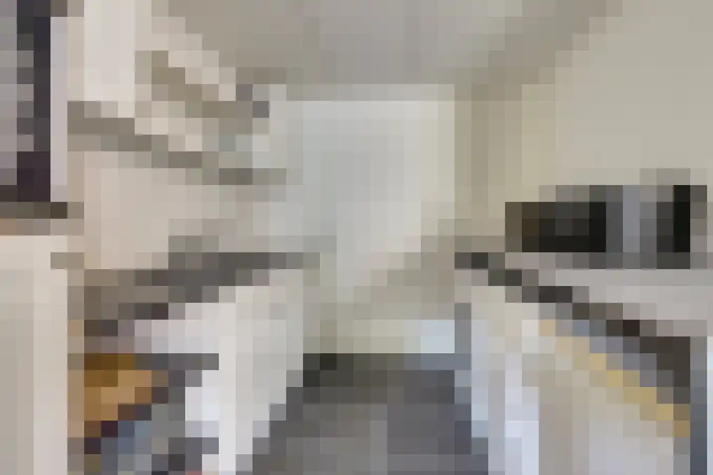 Oude Zeedijk 1 b Dussen thumbnail 33