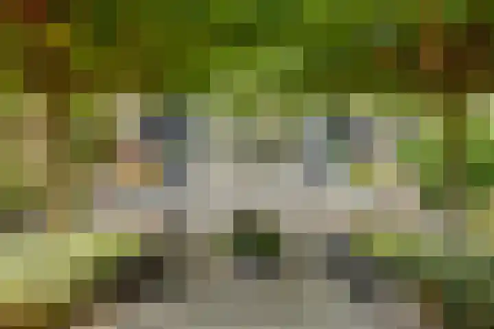 Oude Zeedijk 1 b Dussen thumbnail 34