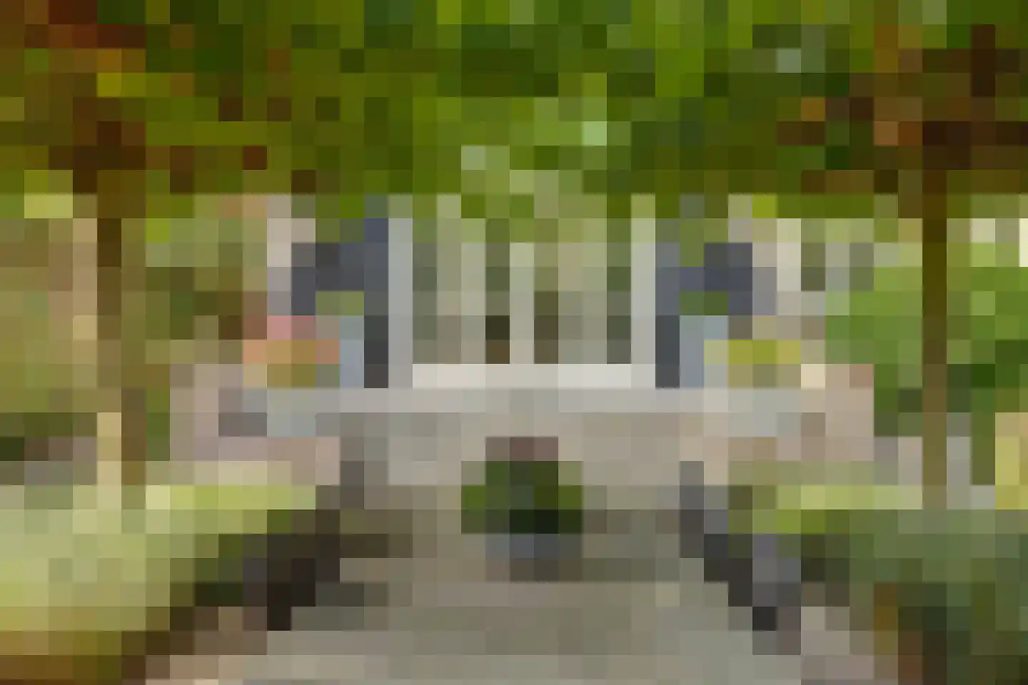 Oude Zeedijk 1 b Dussen thumbnail 34