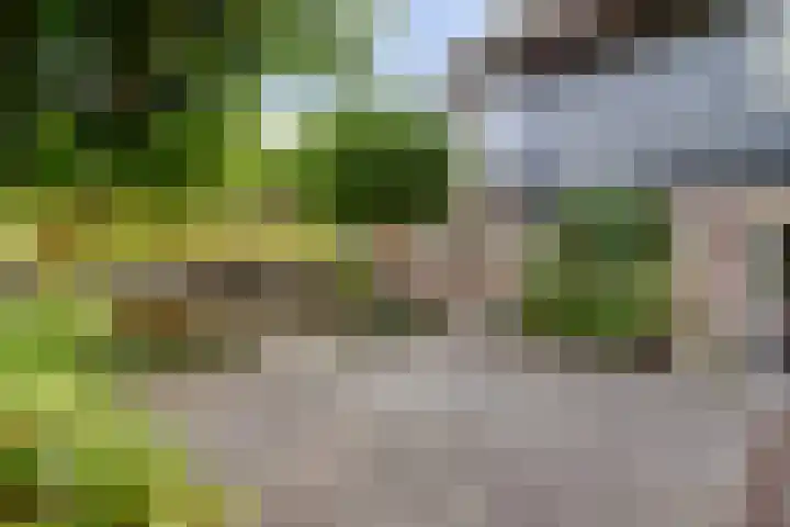 Oude Zeedijk 1 b Dussen thumbnail 37