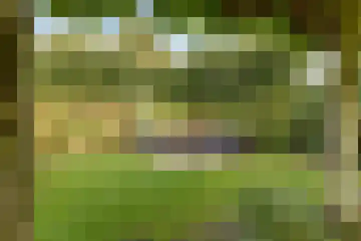 Oude Zeedijk 1 b Dussen thumbnail 40