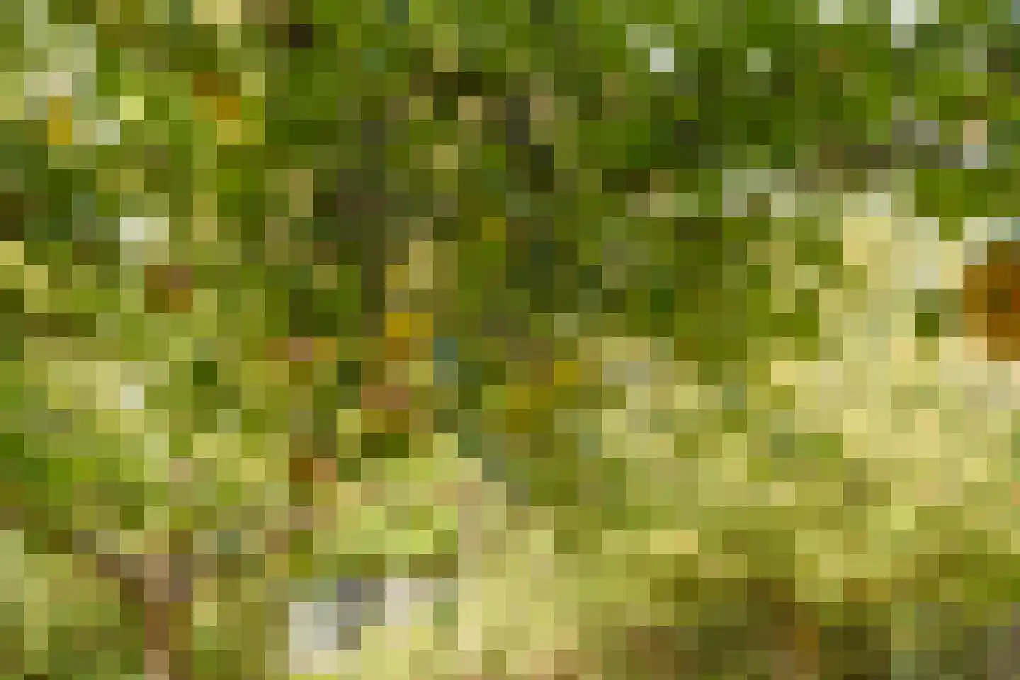 Oude Zeedijk 1 b Dussen thumbnail 41