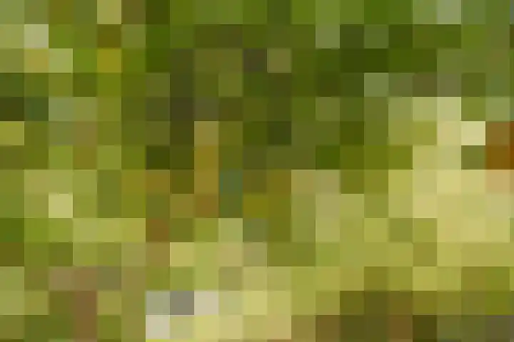Oude Zeedijk 1 b Dussen thumbnail 41