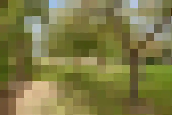 Oude Zeedijk 1 b Dussen thumbnail 43